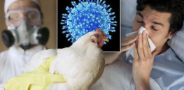 Bird flu? Don’t worry, we fired the scientists